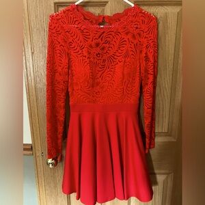 Beautiful nwt red skater dress size 2